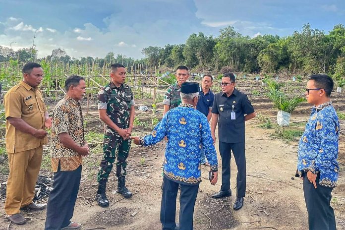 WhatsApp Image 2025-11-17 at 19.58.15